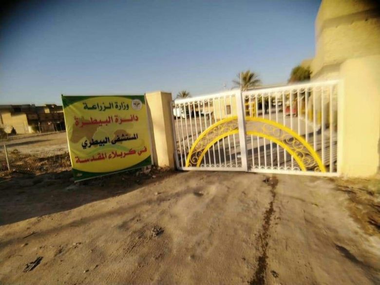 بيطرة كربلاء: لم يتم تسجيل أي حالة لمرض كورونا في المحافظة، وتدعو المواطنين لإتباع طرق الوقاية الصحية