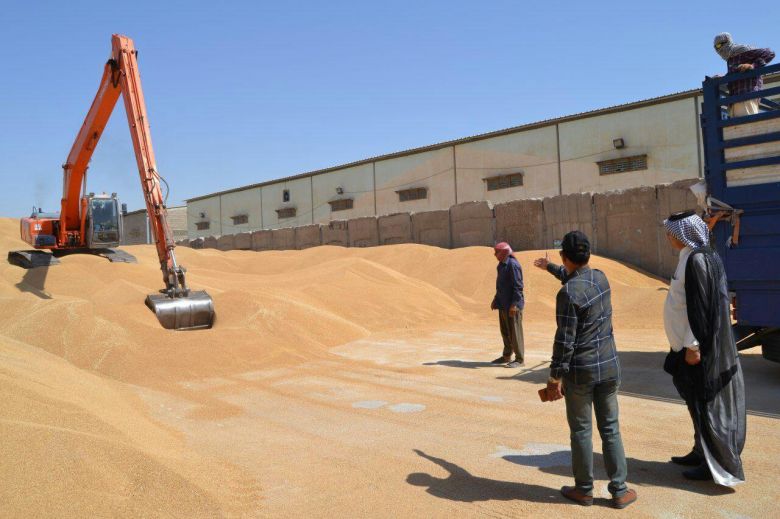 رئيس إتحاد الجمعيات الفلاحية في كربلاء يكشف تلكؤاً في مشروع مهم ذي مردود اقتصادي مهم للمحافظة
