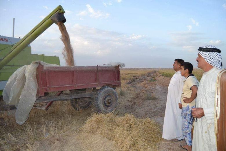 زراعة كربلاء تباشر بتسديد المستحقات المالية لمسوقي الحنطة والشعير