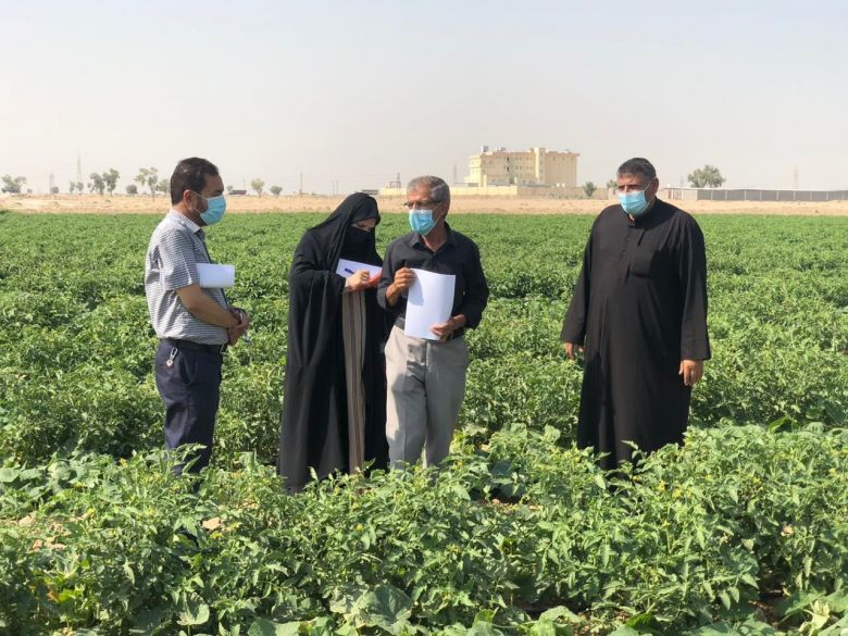 جمعيات مستخدمي المياه وبتنسيق مع شعبة الري التكميلي ومديرية الزراعة تباشر بنشر خطة تطوير PISP
