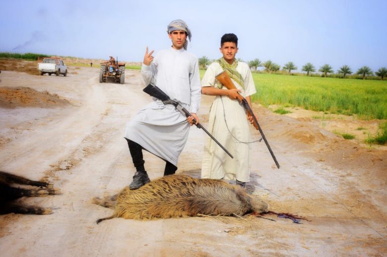 حيوانات برية تبث الرعب بين أهالي كربلاء