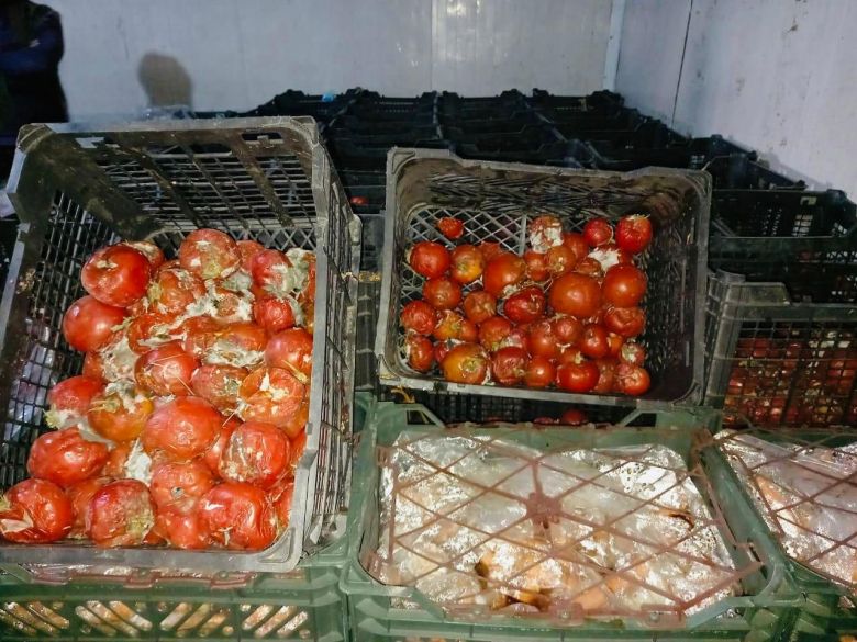 صحة كربلاء تتلف ( 7 ) أطنان من موادٍ غِذائية مُنتهية الصلاحية