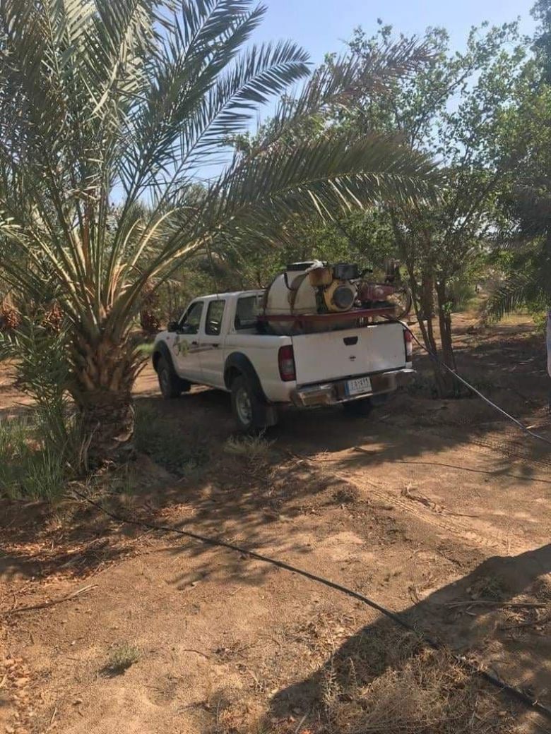 زراعة كربلاء: مكافحة 5810 دونما من بساتين النخيل من مرضي لفحة الجريد وتعفن النورات الزهرية