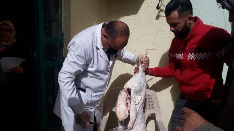 لجنة الرقابة والتفتيش على ظاهرة الجزر العشوائي: مصادرة و اتلاف للحوم قصابين مخالفين للضوابط الصحية في كربلاء