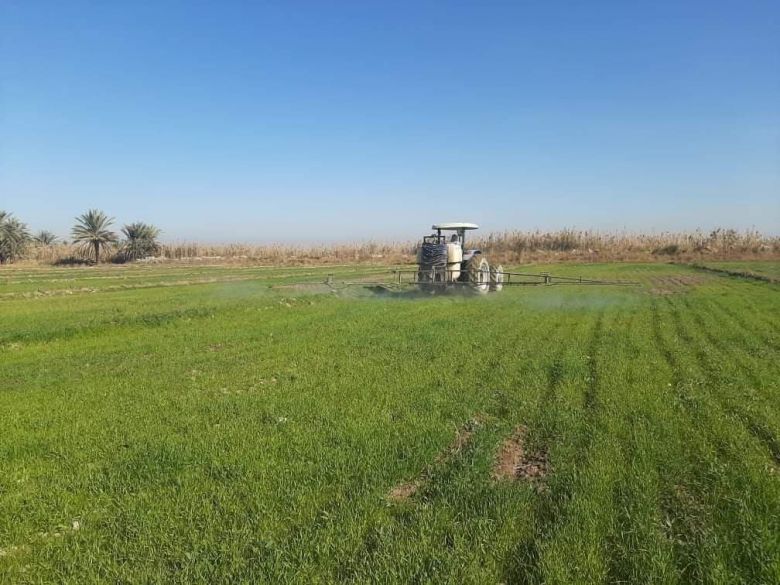 بعد مكافحة ما يقارب 51 ألف دونم... زراعة كربلاء تعالن الانتهاء من حملة مجانية لمكافحة أدغال الحنطة العريضة والرفيعة الأوراق في حقول الحنطة