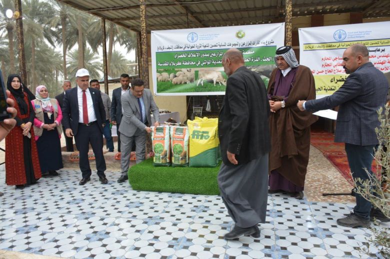 مبادرة لتوزيع بذور الاعلاف لمربي المواشي في كربلاء