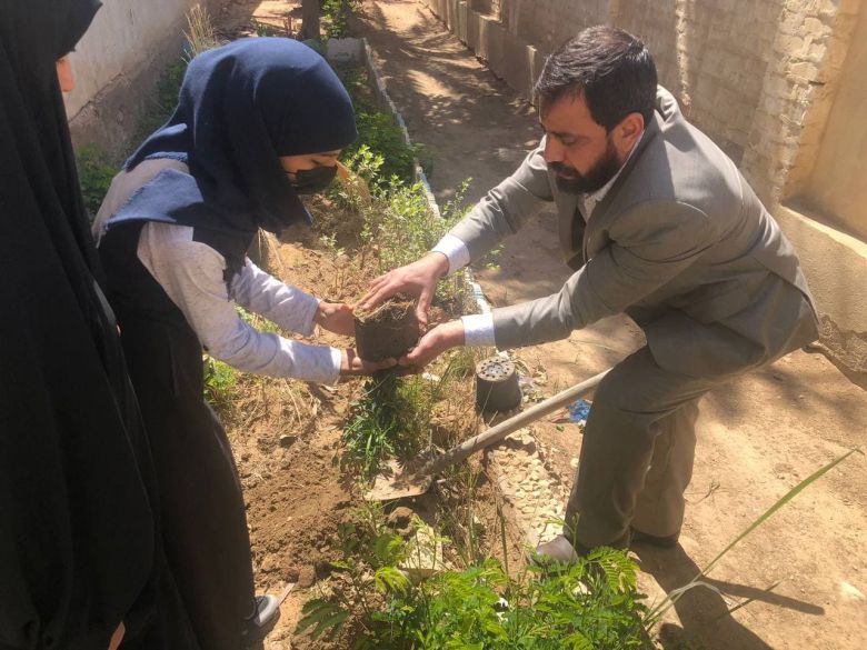 استمرار حملة التشجير في كربلاء ضمن المبادرة الوطنية لدعم الطاقة وتقليل الانبعاث