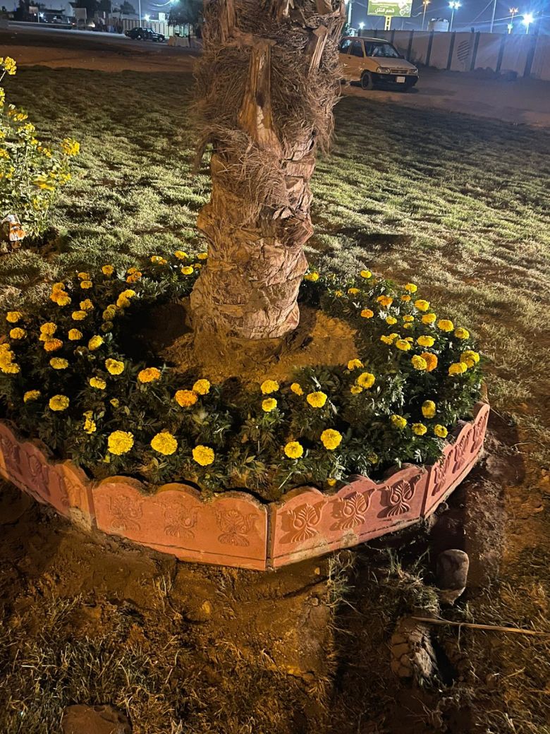 بتوجيه محافظ كربلاء المقدسة .. تأهيل وزراعة الحدائق بطريق كربلاء- النجف