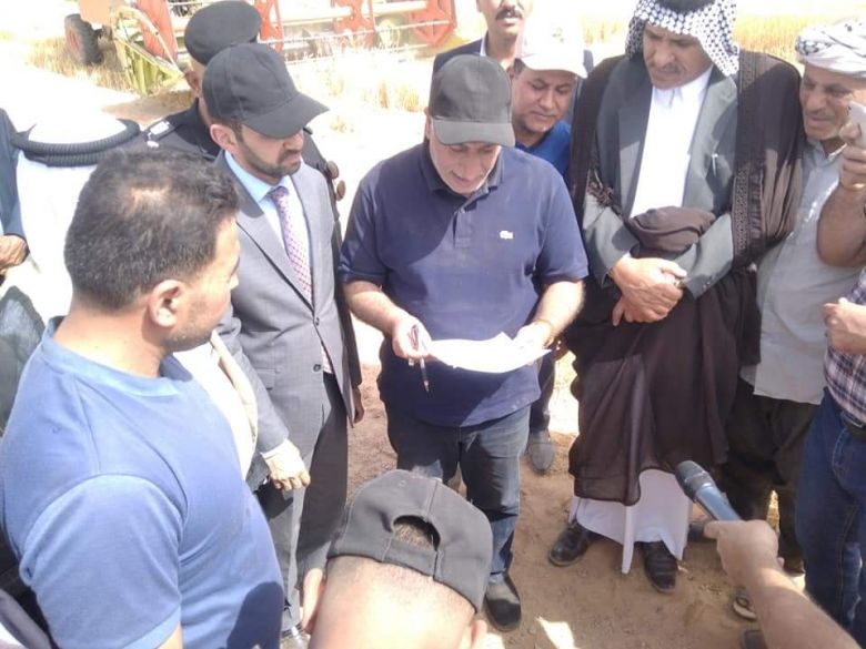 الخطابي يعلن بدء موسم الحصاد لمحصول الحنطة في كربلاء