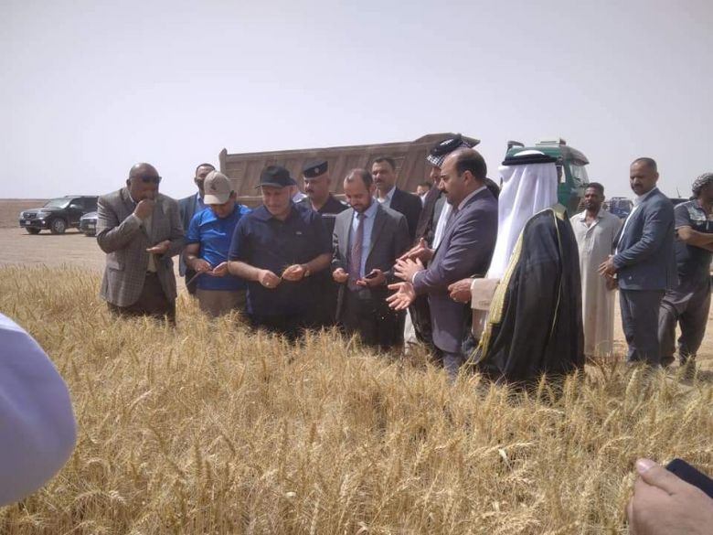 الخطابي يبارك لإرض كربلاء حصادها السنوي من محصول الحنطة