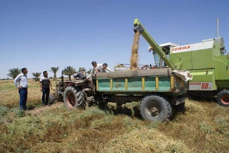 كربلاء تسوق اكثر من 3602 طن من الحنطة الى مخازن وزارة التجارة