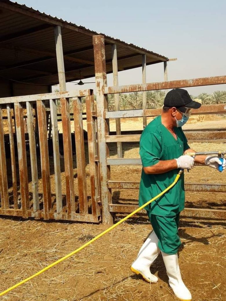 بنسبة إنجاز (99%).. ملاكات المستوصف البيطري في الجدول الغربي تنفّذ أكبر حملة وقائية