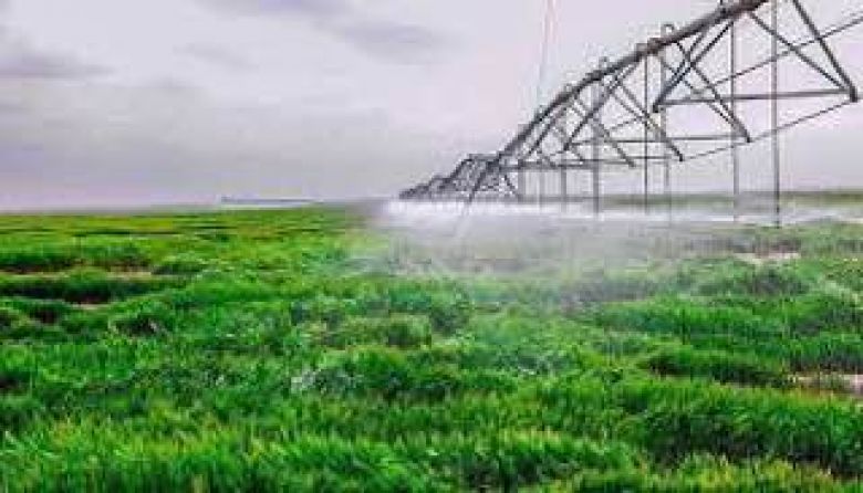 زراعة كربلاء تعلن عن استعداداتها المبكرة في تنفيذ حملة الاستزراع الشتوي لمحصول الحنطة