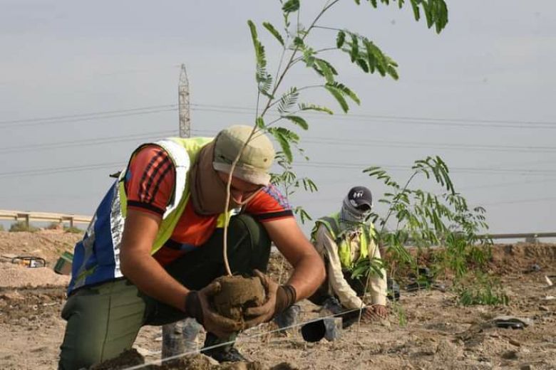 بلدية الهندية تقوم بإعمال تشجير حديقة مجسر مدخل بابل