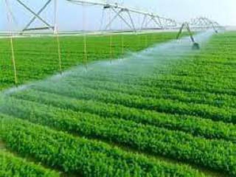 هيئة الاستثمار تعلن عن منح إجازة استثمارية لمشروع زراعي في كربلاء