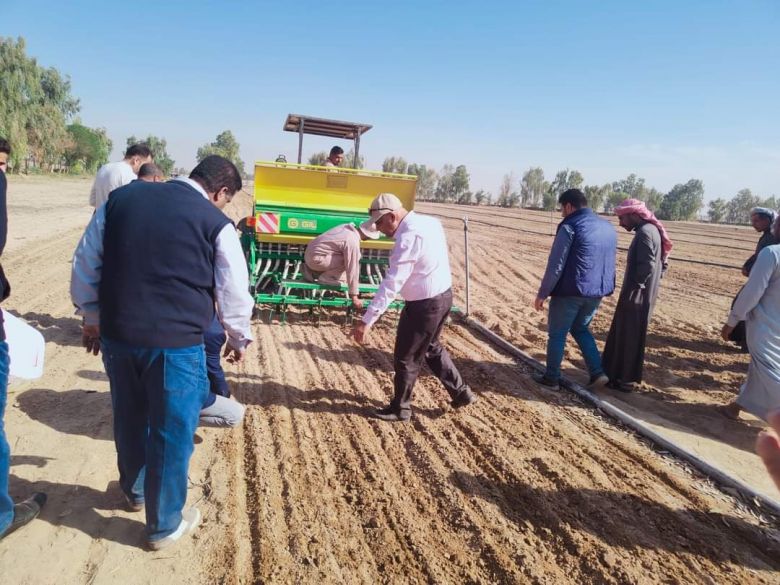 كربلاء تباشر بزراعة 4564 دونم من محصول الحنطة في قضاء الهندية