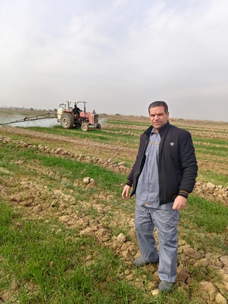 زراعة كربلاء تجهز حقول الحنطة بمبيدات مجانا لمكافحة الادغال الضارة