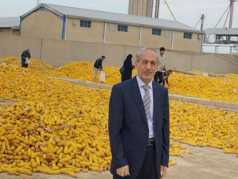 زراعة كربلاء تعلن تسويق 800 طن من الذرة الصفراء