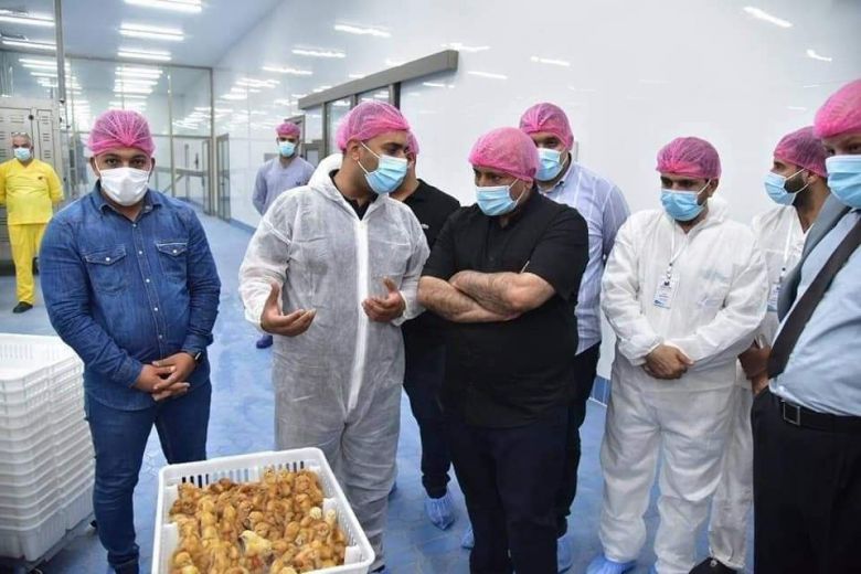 زراعة كربلاء: تفقيس مليون و (172 الف ) بيضة من مشاريع التفقيس