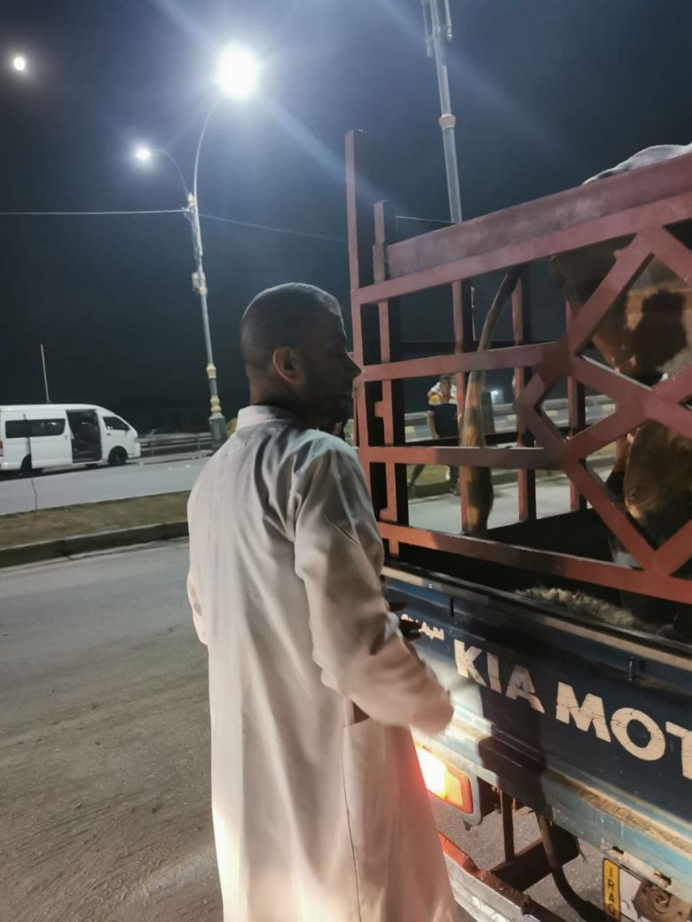 إدارة المستشفى البيطري في كربلاء: بذلنا جهوداً مهمة خلال الزيارة الشعبانية