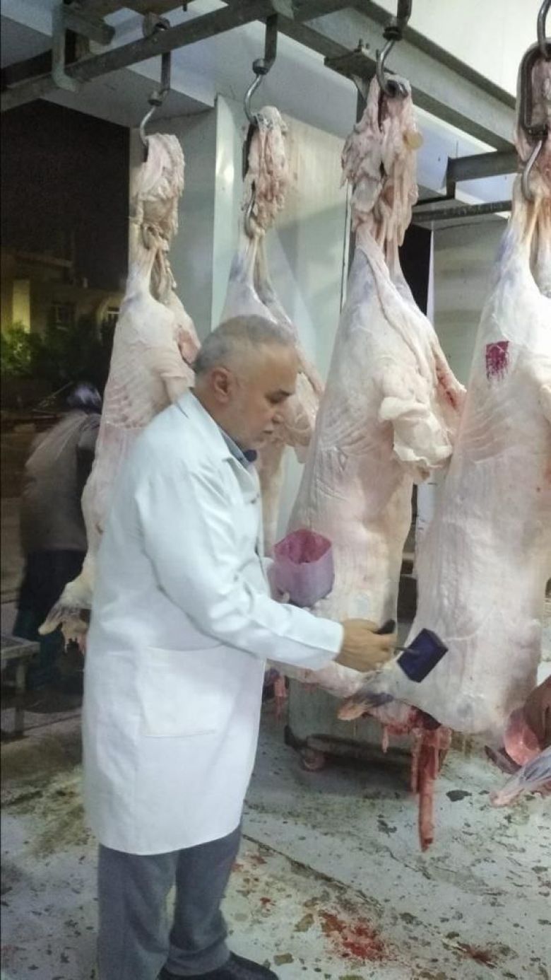 المستشفى البيطري في كربلاء يواصل حملاته للحد من ظاهرة الجزر العشوائي