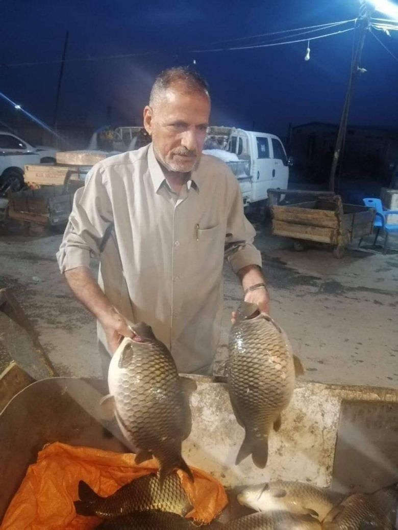 زراعة كربلاء تسوق مائة الف سمكة الى الأسواق المحلية