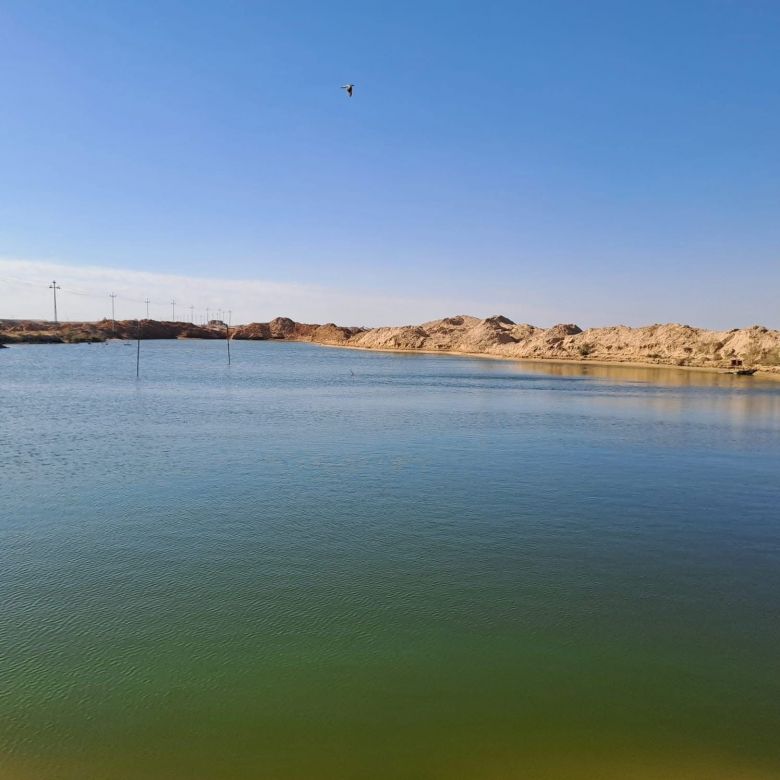 حملة ميدانية لإزالة التجاوزات عن بحيرة الرزازة والحفاظ على الخزين المائي