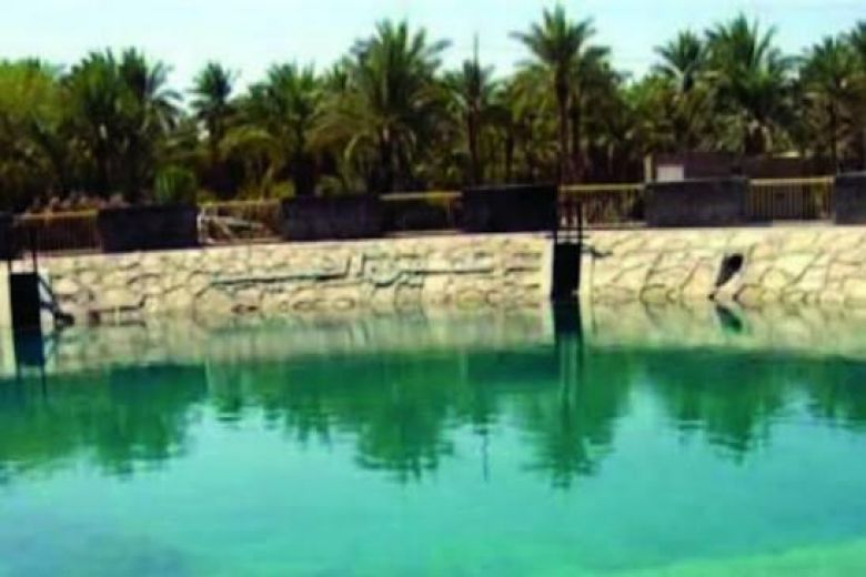 عيون عين التمر بين إرث الماضي وعبق الحاضر