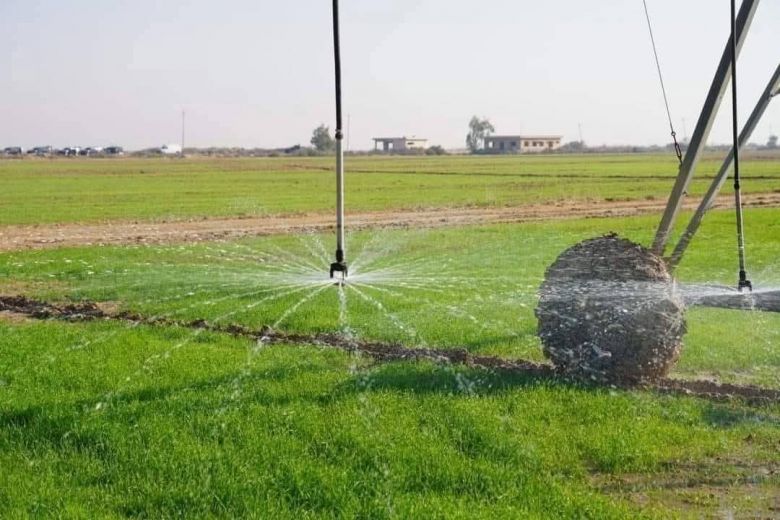 زراعة كربلاء تعلن نجاح موسم 2025–2026 بمساحات مزروعة تقارب 300,000 الف دونم