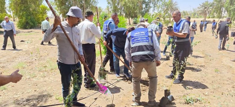 كربلاء تعزز الغطاء النباتي في حملة تشجير واسعة لتحسين البيئة والمشهد الحضري
