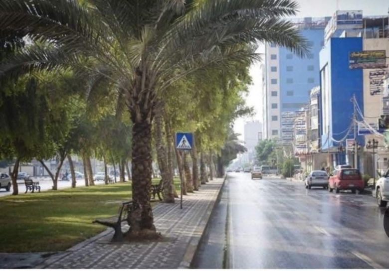 زراعة كربلاء تطلق حملة للعناية بأشجار النخيل والمساحات الخضراء في شوارع المحافظة